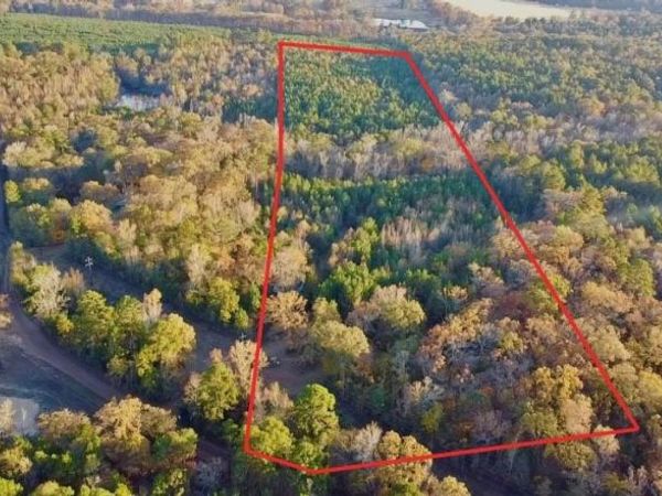 TBD Cactus Rd, Pittsburg, TX 75686