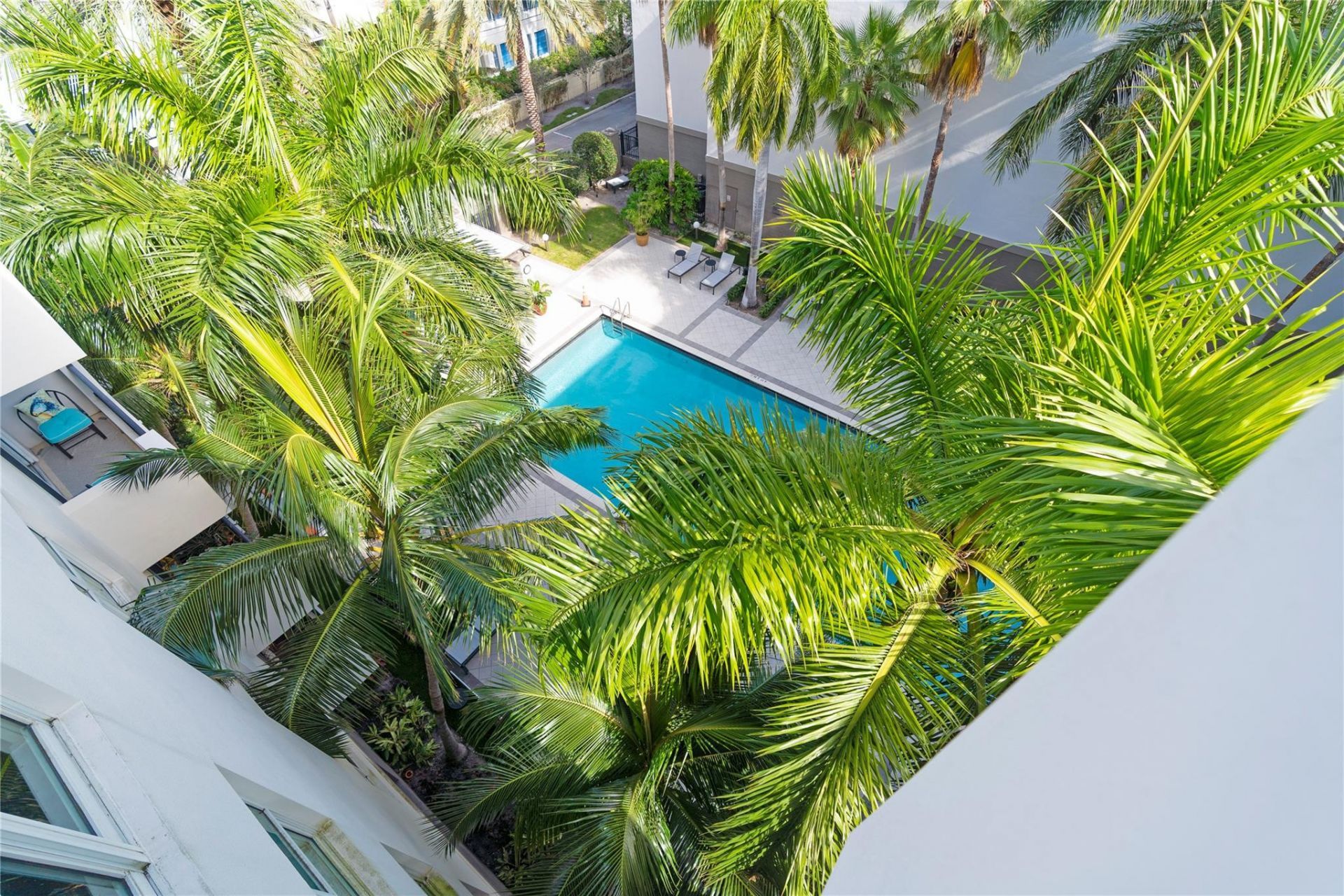 2401 NE 65th Street, Unit 603, Fort Lauderdale, FL 33308 Photo