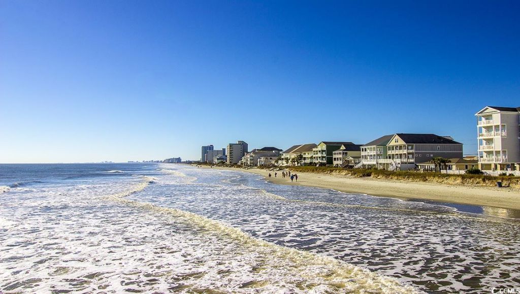 241 Ridley St Photo 34