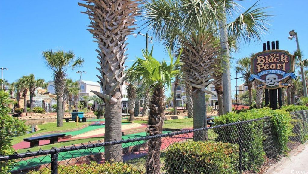 241 Ridley St Photo 40