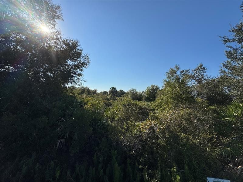 14928 NW 260th St, Basinger, FL 34972 Photo