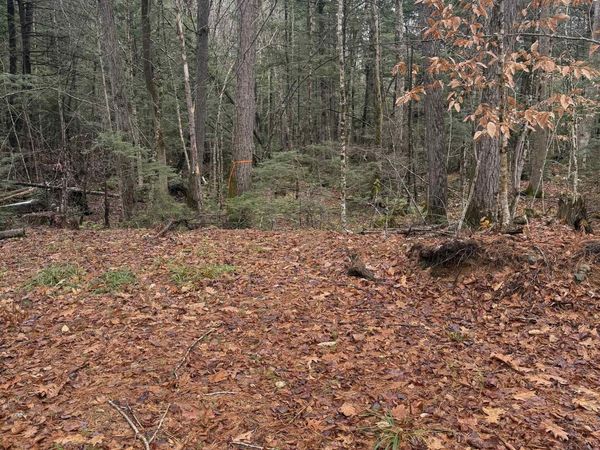 00 Partridge Hill Road, Unit 84, Sandwich, NH 03227