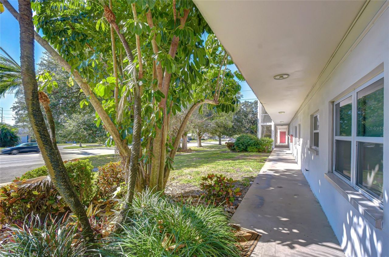 5150 10th Avenue N, Unit 211, Saint Petersburg, FL 33710 Photo