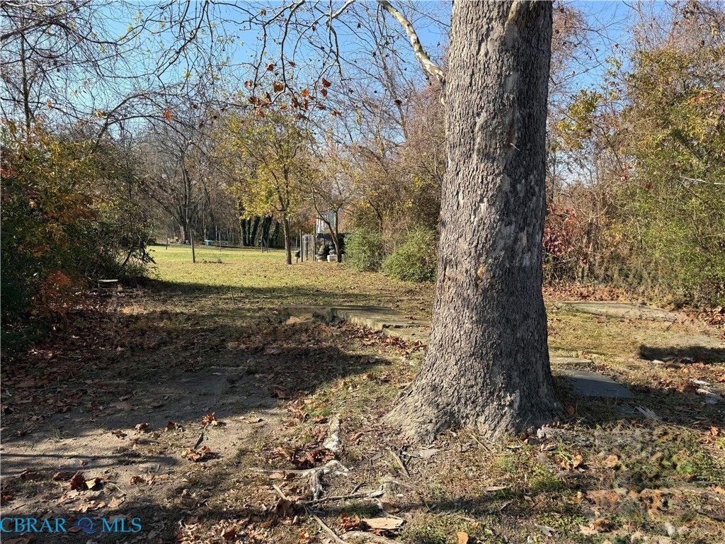 102 S Freeman Street, Blackstone, VA 23824 Main Photo