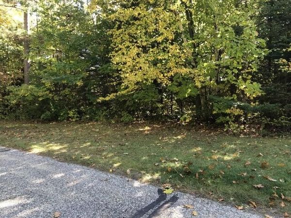 Lots 2 & 3 W Etherington Street, Mackinaw City, MI 49701