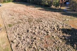 000 Scotch Range Road photo 4