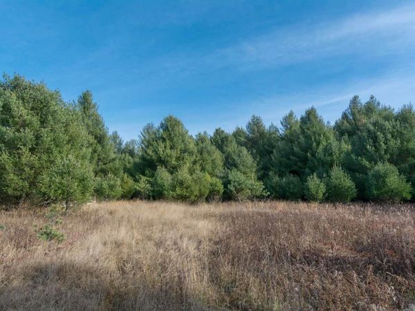 Bellinger Road E, Cedar, MI 49621