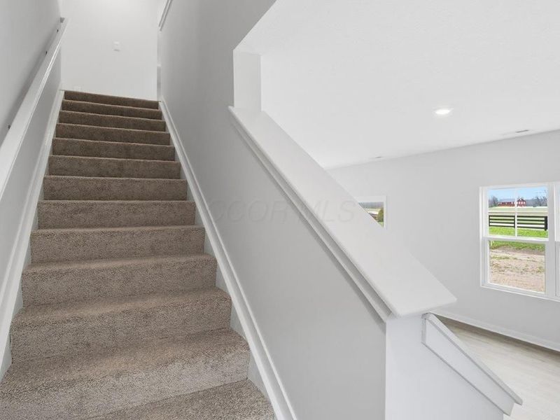 1752 Jacko Lane, Circleville, OH 43113 Photo 19