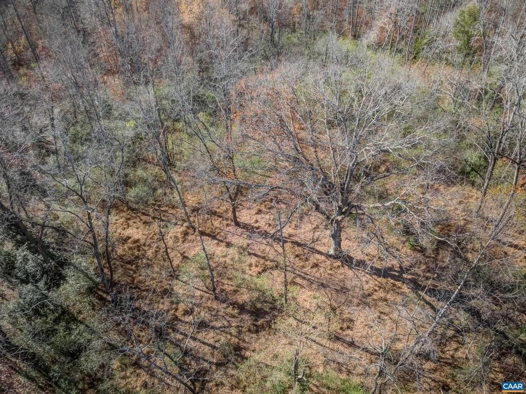 0 Porters Rd, Esmont, VA 22937 Main Photo