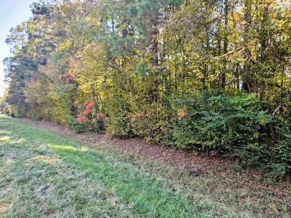 9853 Tunica Trace, St Francisville, LA 70775