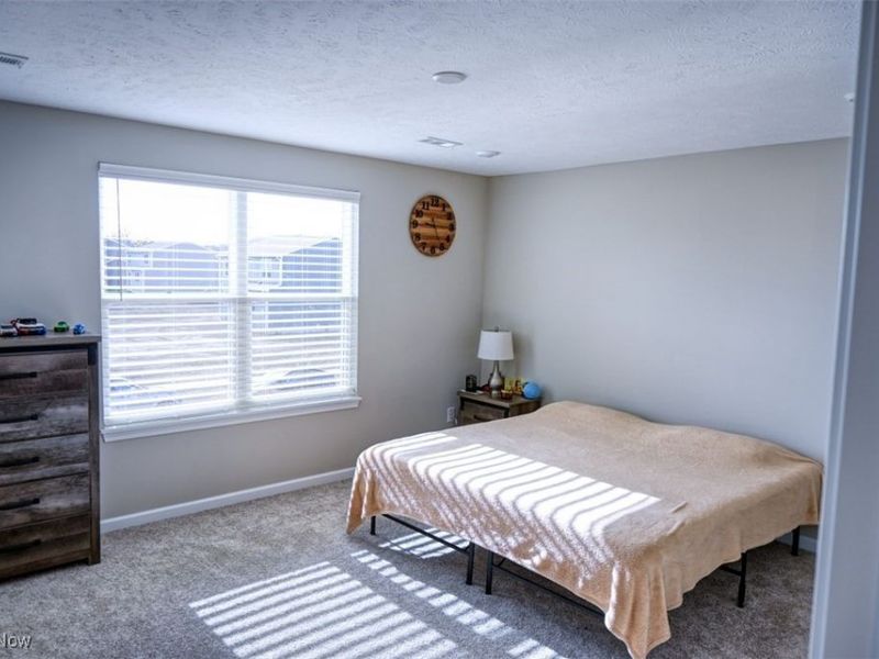 23409 Kims Trail, Columbia Station, OH 44028 Photo 20