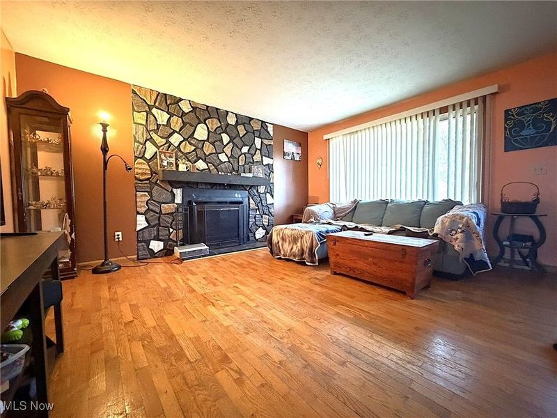 737 Dunny Avenue, Sheffield Lake, OH 44054 Photo 4