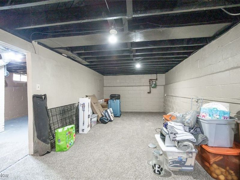 25151 Zeman Avenue, Euclid, OH 44132 Photo 27