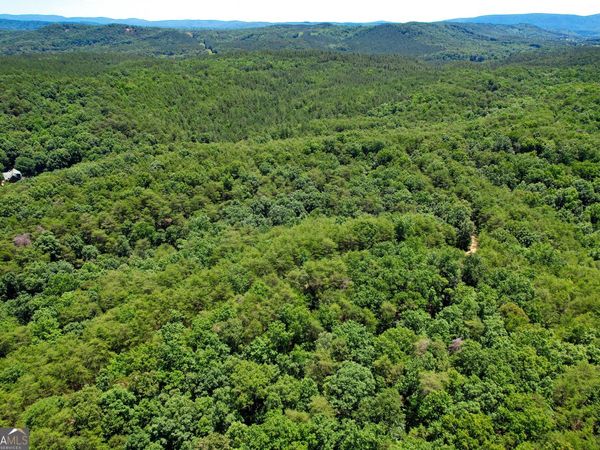111 +/- Acres off Slate Mine Road, Fairmount, GA 30139