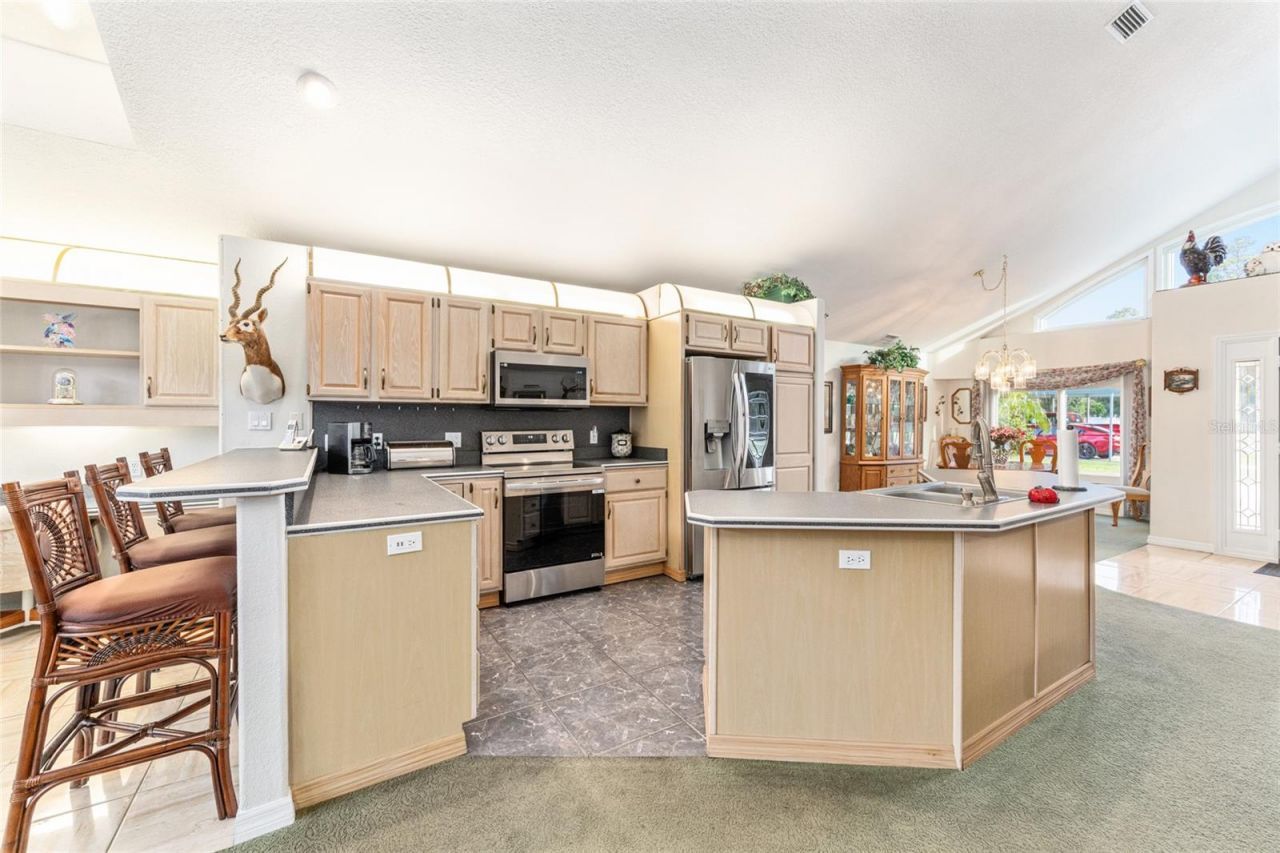 255 SW 96th Lane, Ocala, FL 34476 Photo