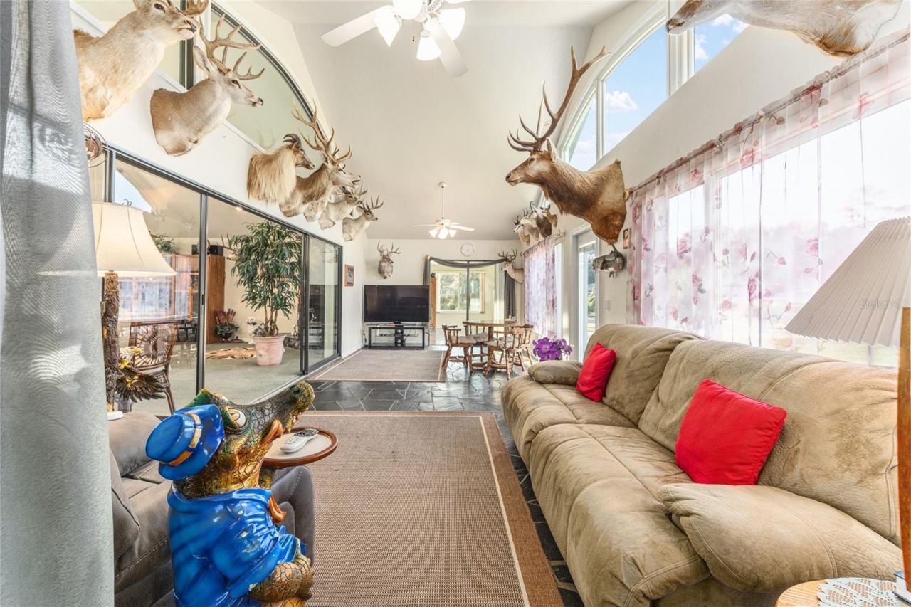 255 SW 96th Lane, Ocala, FL 34476 Photo