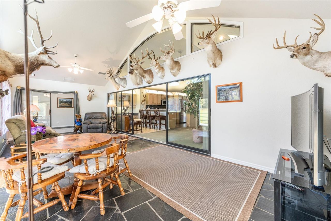 255 SW 96th Lane, Ocala, FL 34476 Photo