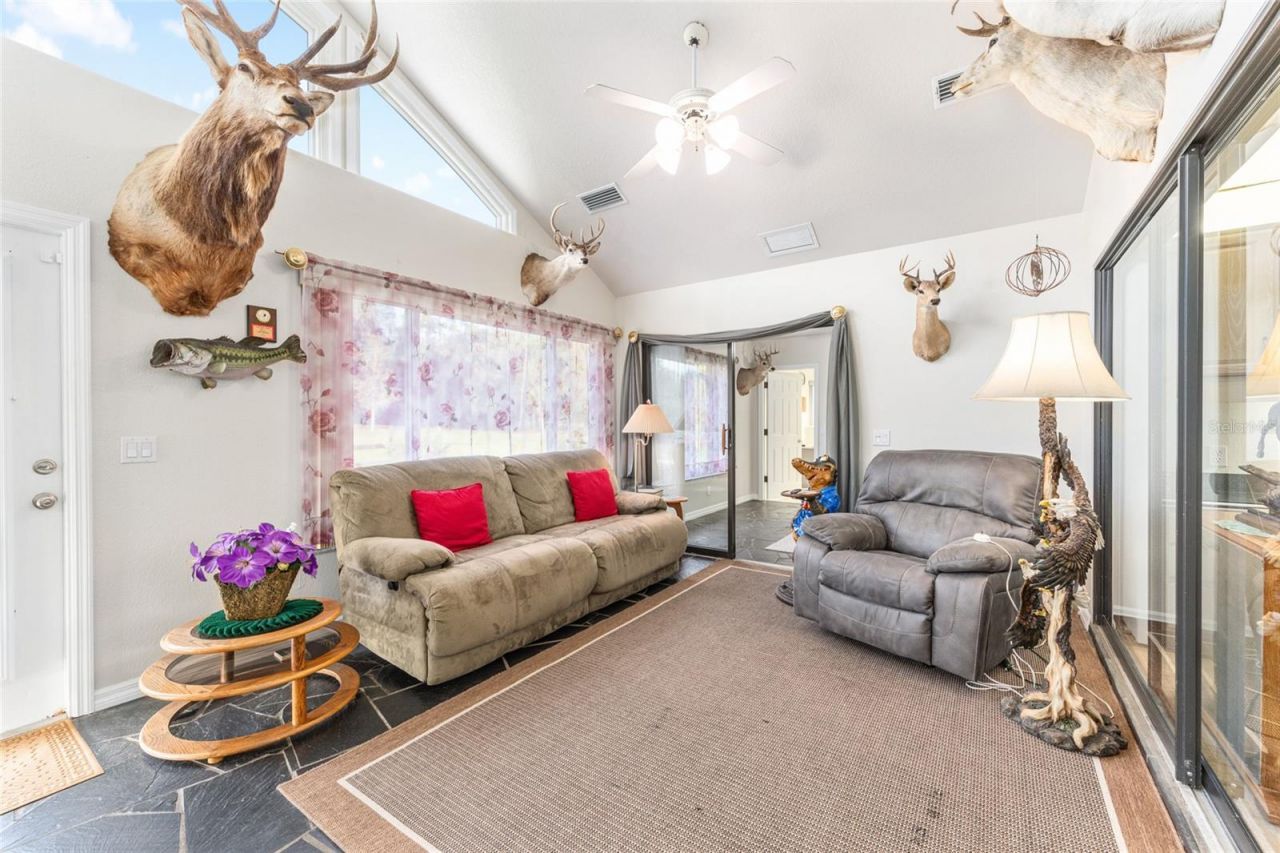 255 SW 96th Lane, Ocala, FL 34476 Photo