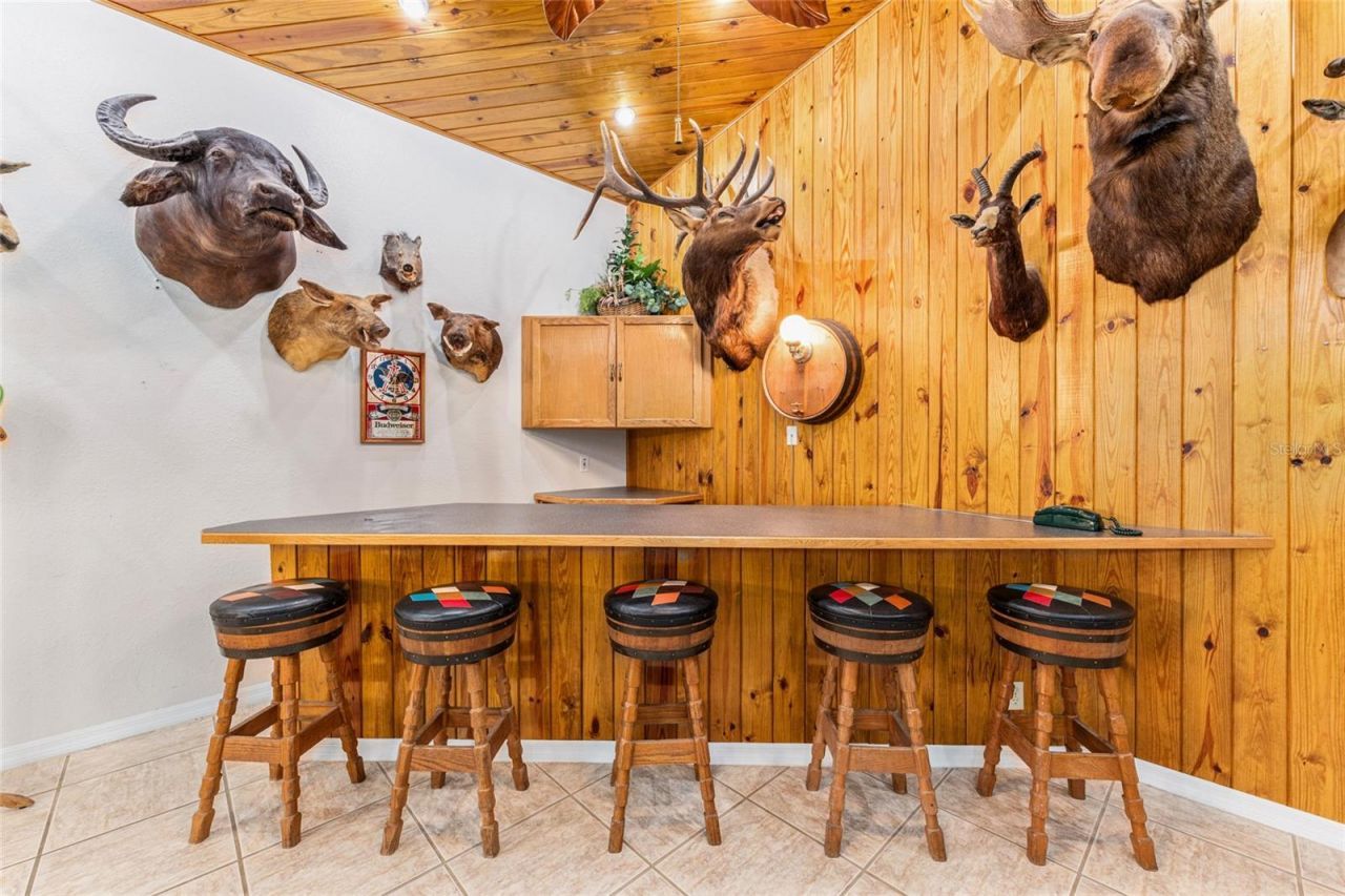 255 SW 96th Lane, Ocala, FL 34476 Photo