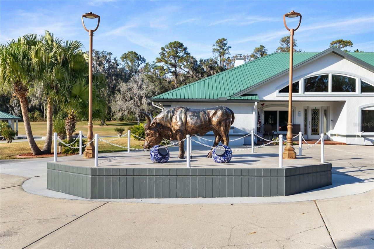255 SW 96th Lane, Ocala, FL 34476 Photo