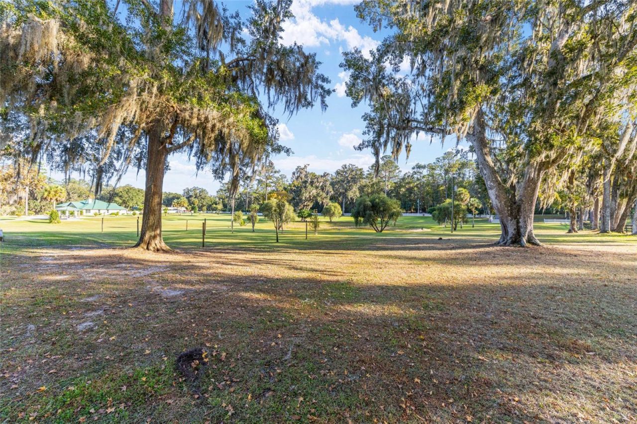 255 SW 96th Lane, Ocala, FL 34476 Photo