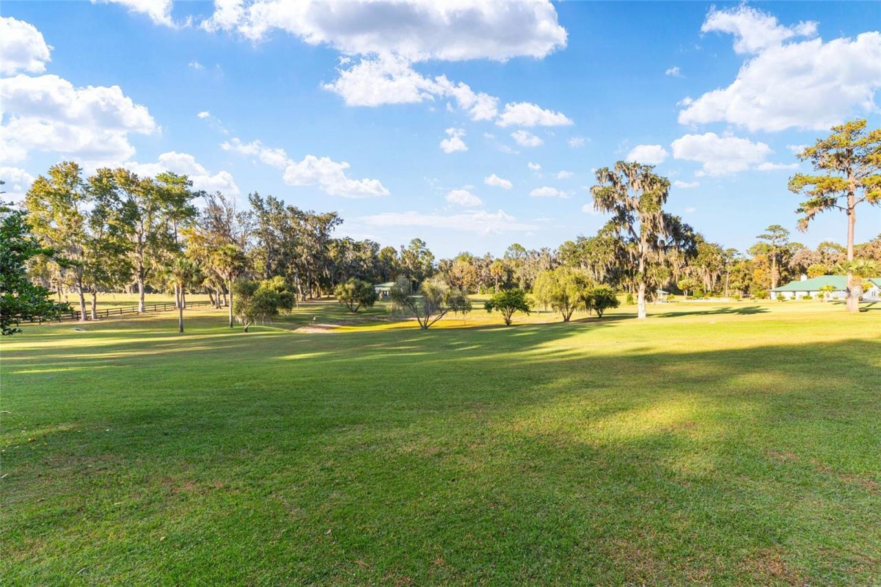 255 SW 96th Lane, Ocala, FL 34476 Photo
