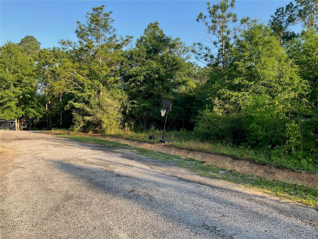Pinetree Lane, Defuniak Springs, FL 32433 Photo