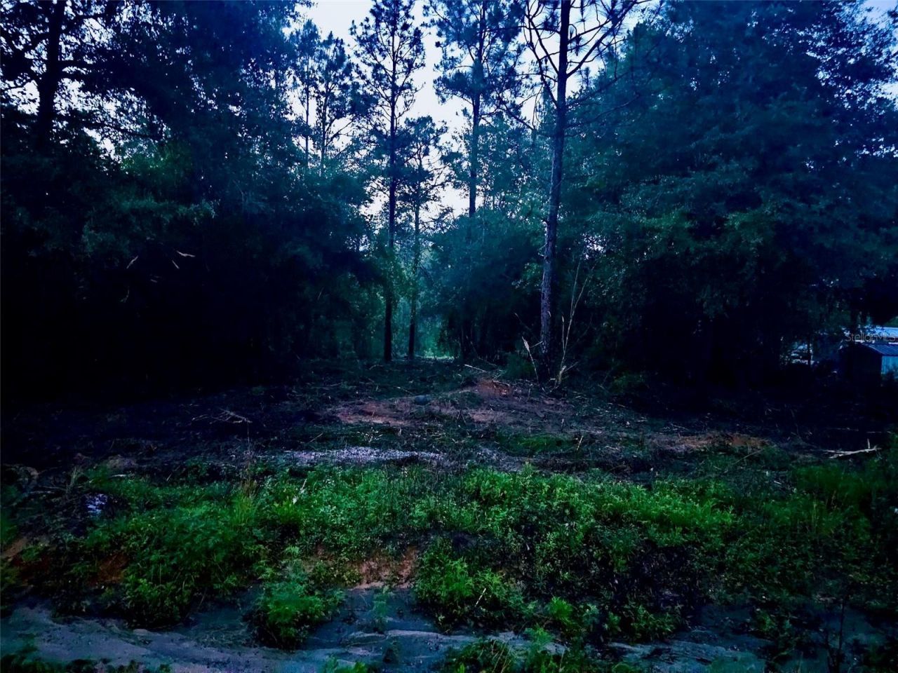 Pinetree Lane, Defuniak Springs, FL 32433 Photo