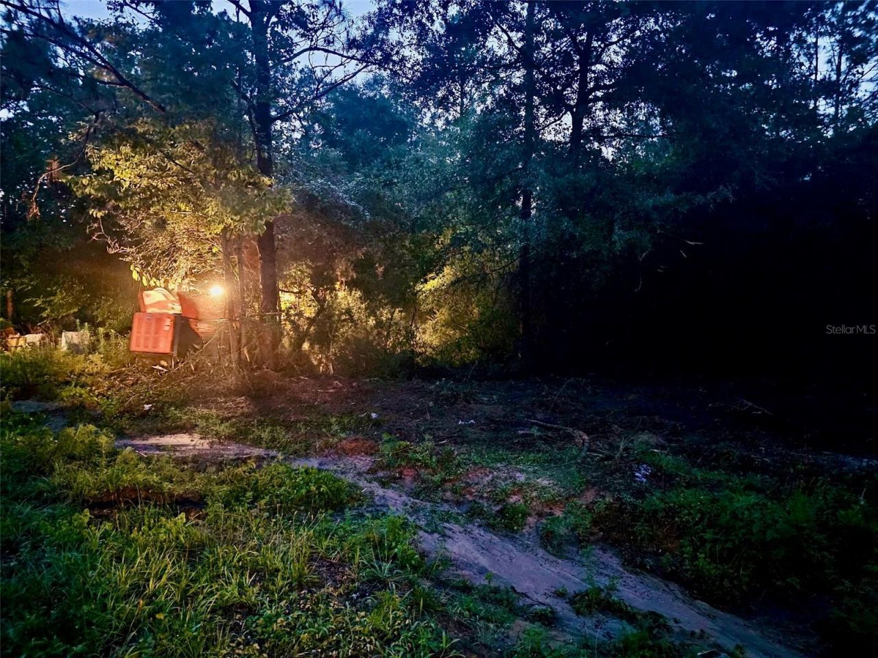 Pinetree Lane, Defuniak Springs, FL 32433 Photo