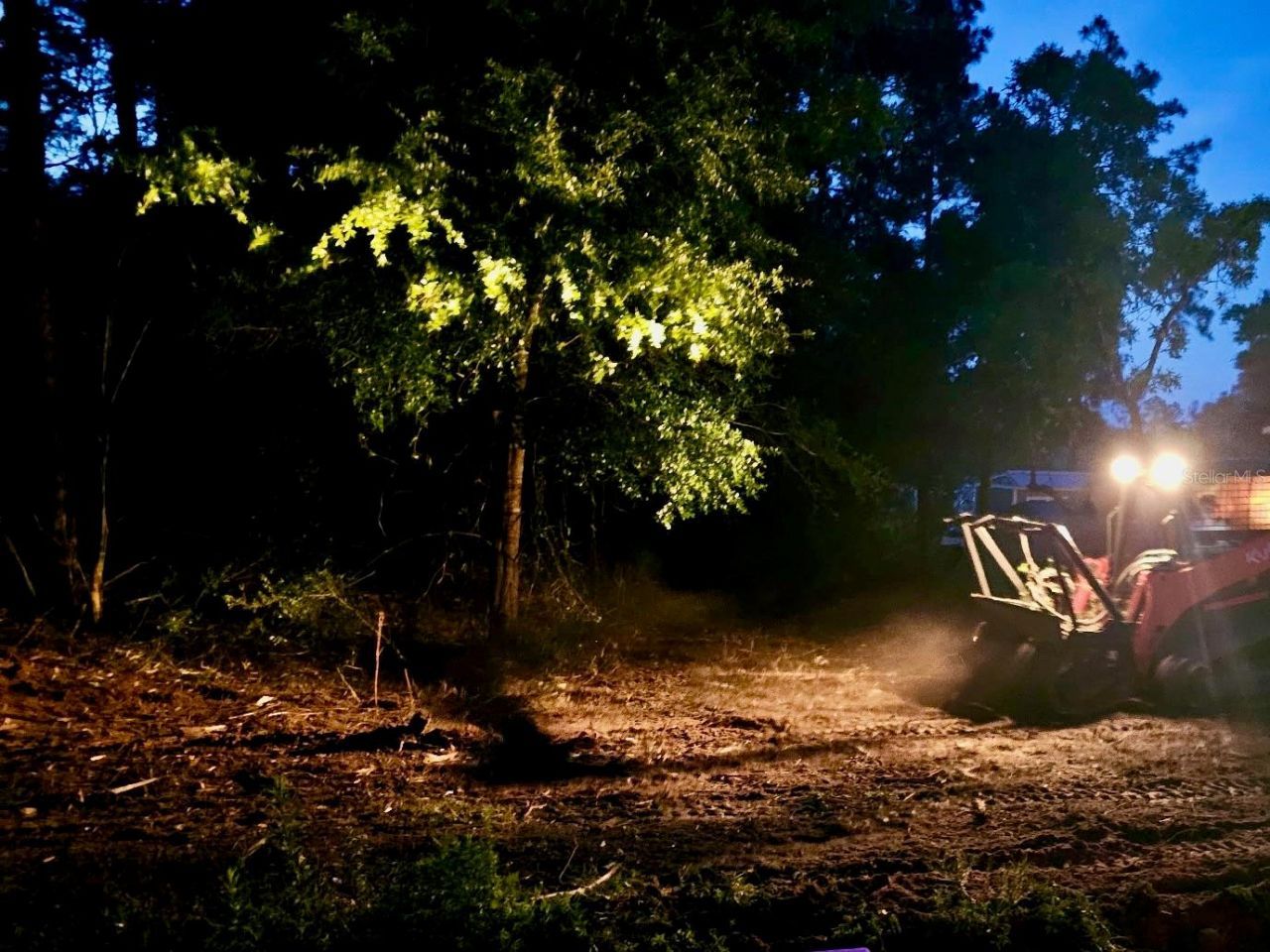 Pinetree Lane, Defuniak Springs, FL 32433 Photo