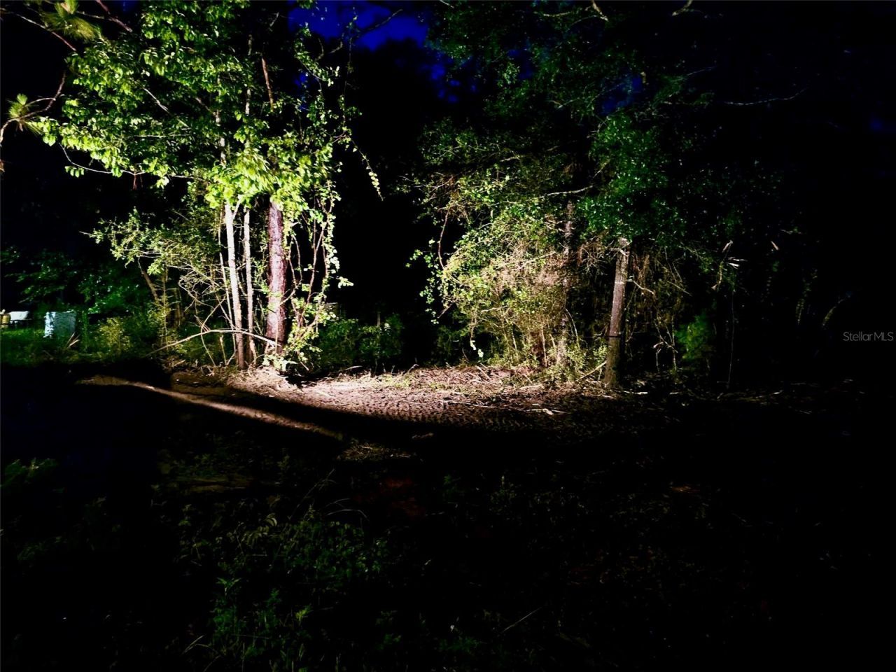 Pinetree Lane, Defuniak Springs, FL 32433 Photo