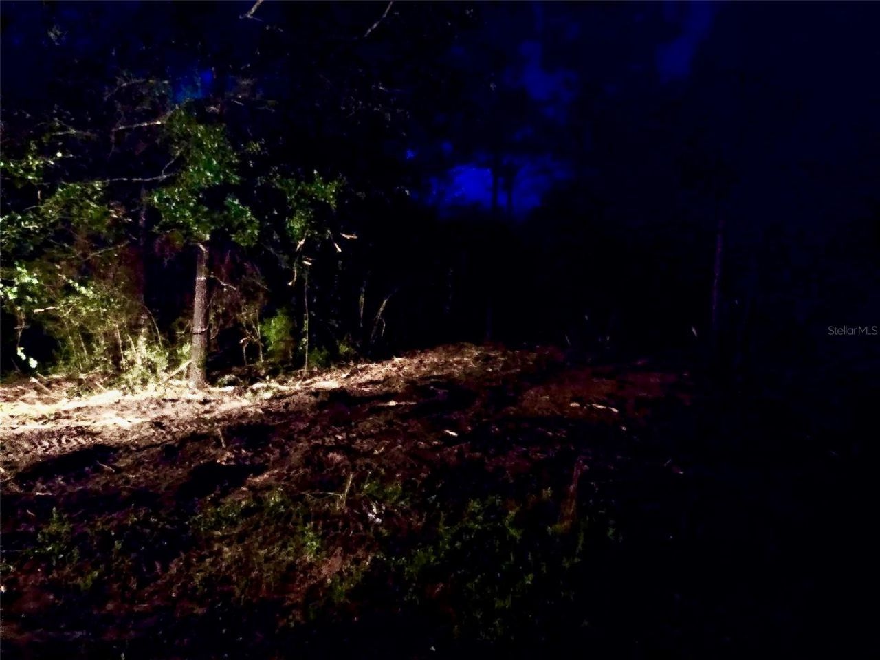 Pinetree Lane, Defuniak Springs, FL 32433 Photo