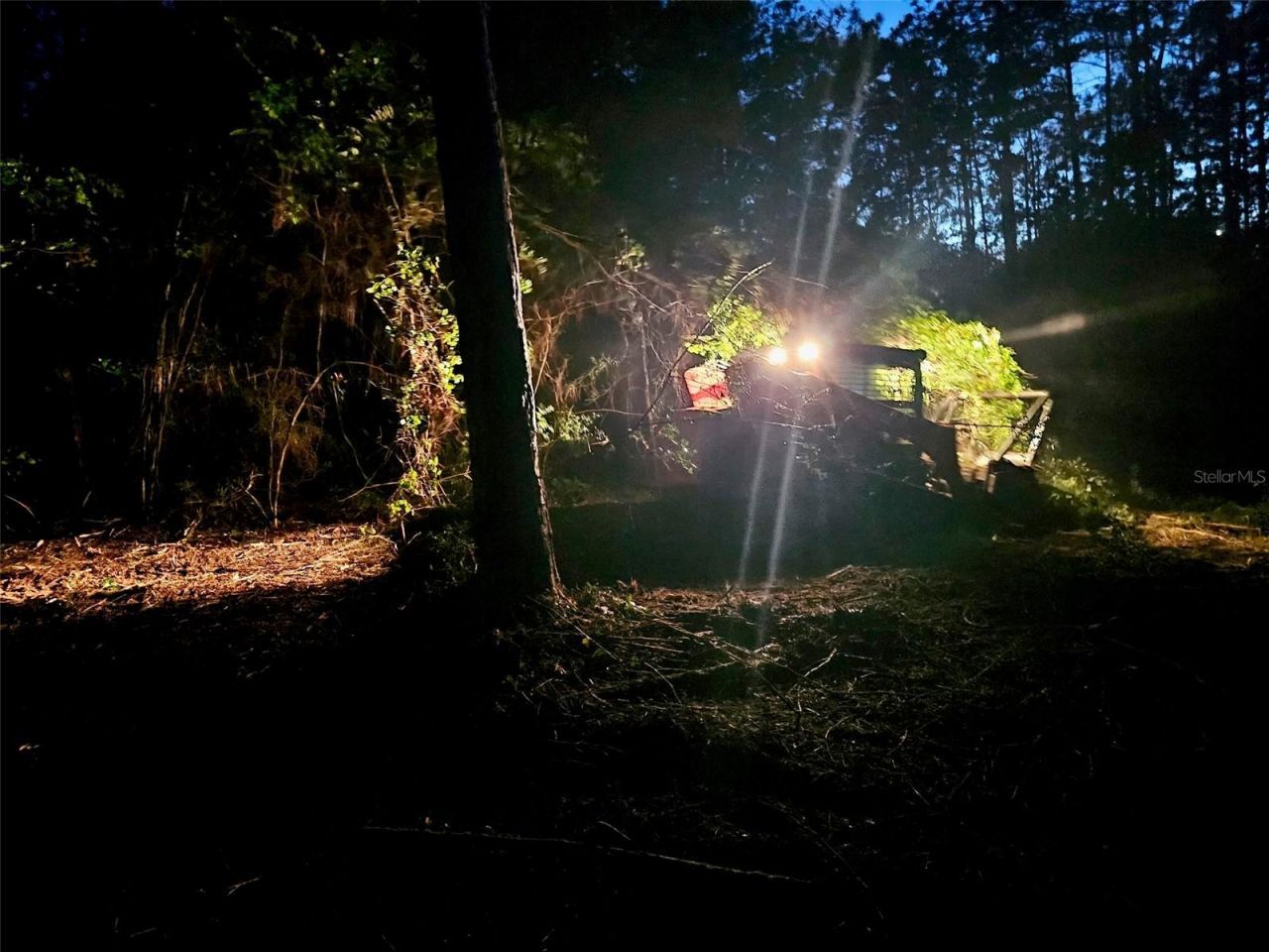 Pinetree Lane, Defuniak Springs, FL 32433 Photo