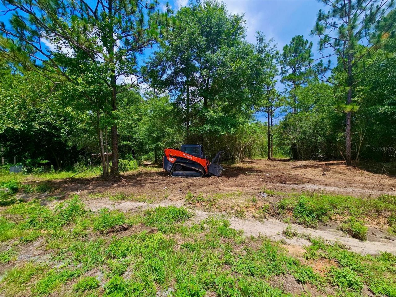 Pinetree Lane, Defuniak Springs, FL 32433 Photo