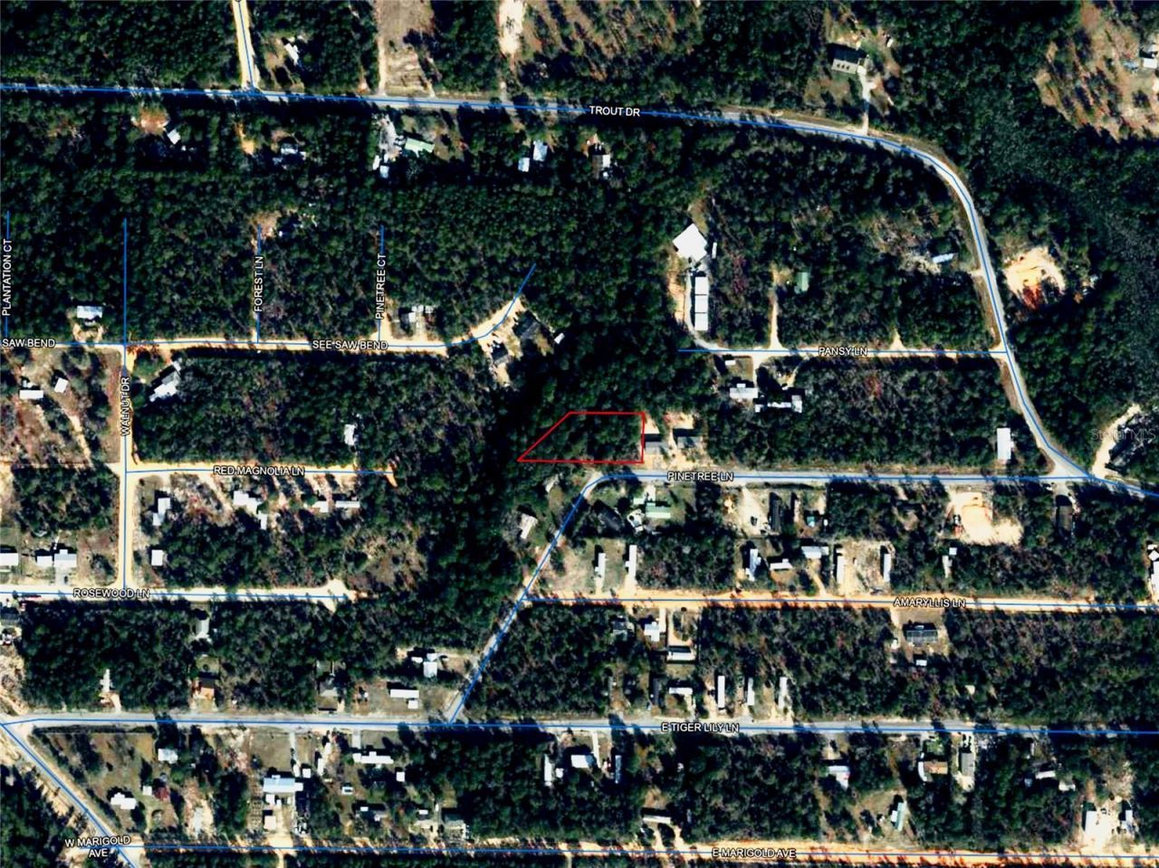 Pinetree Lane, Defuniak Springs, FL 32433 Photo