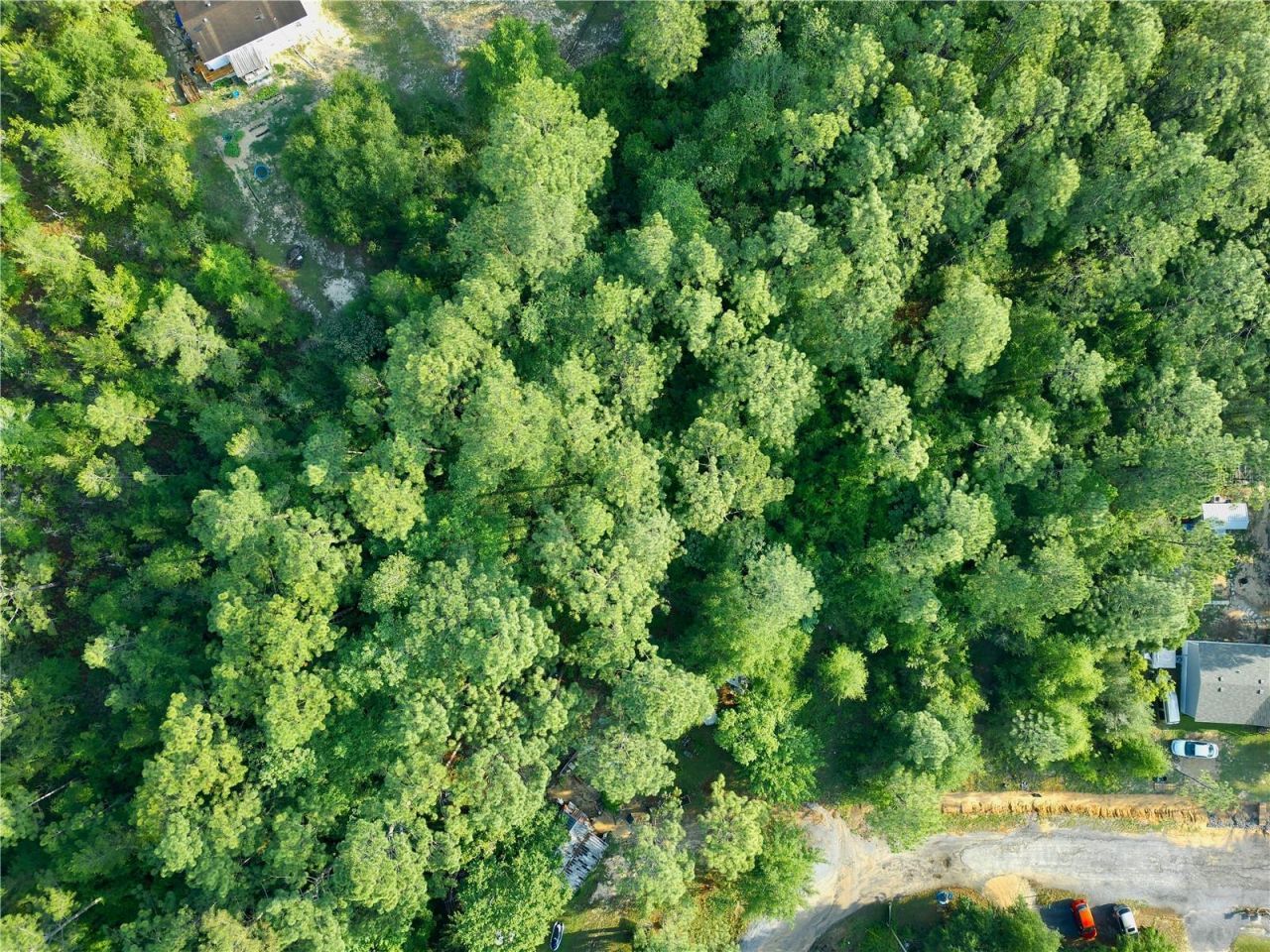 Pinetree Lane, Defuniak Springs, FL 32433 Photo