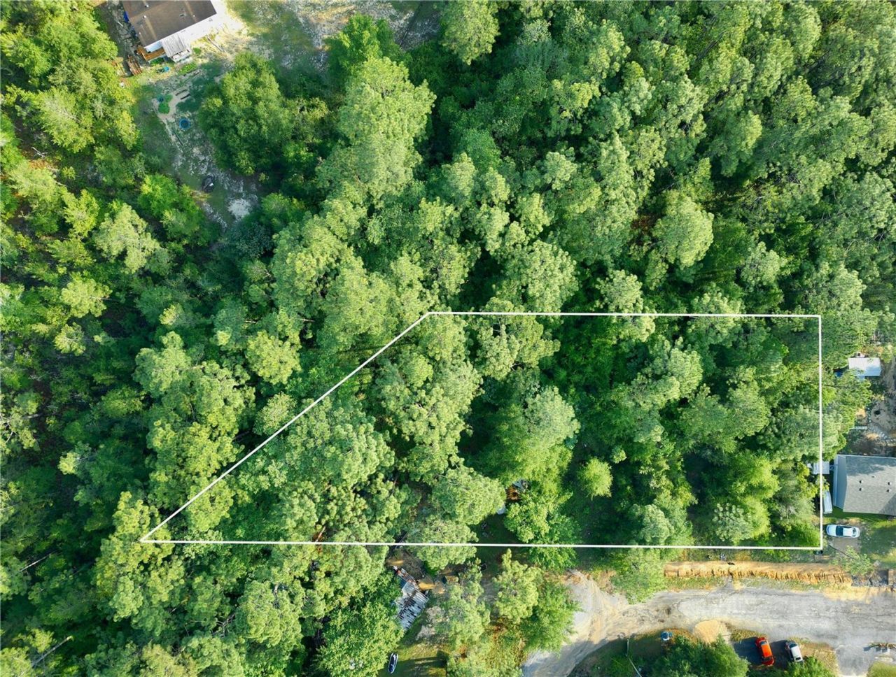 Pinetree Lane, Defuniak Springs, FL 32433 Photo