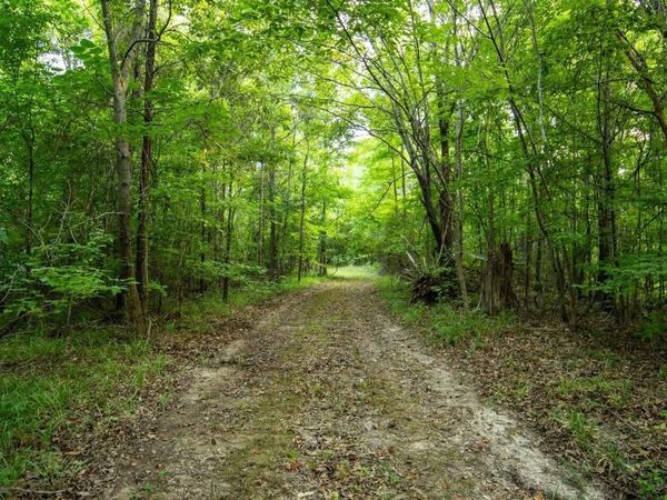 Holly Grove-Meeks Road, Cruger, MS 38924