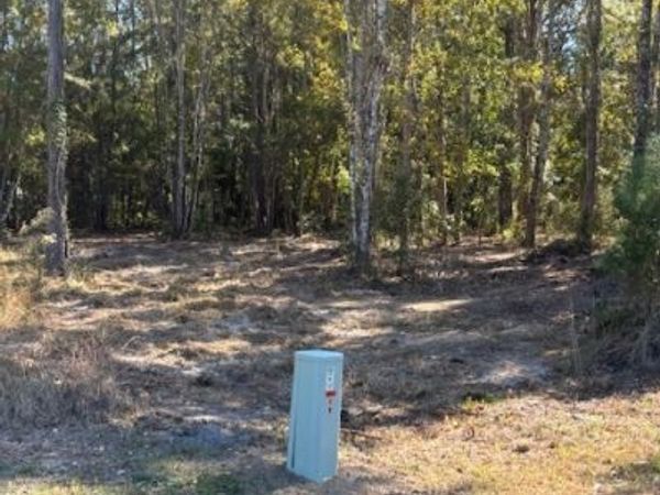 136 Herrin Road, Woodbine, GA 31569