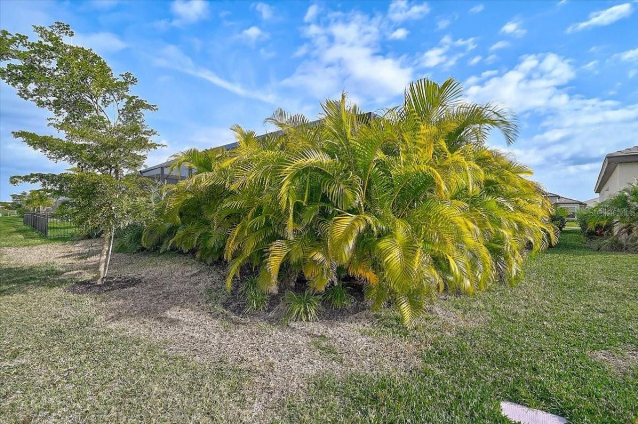 4970 Oyster Pearl Street, Bradenton, FL 34211 Photo