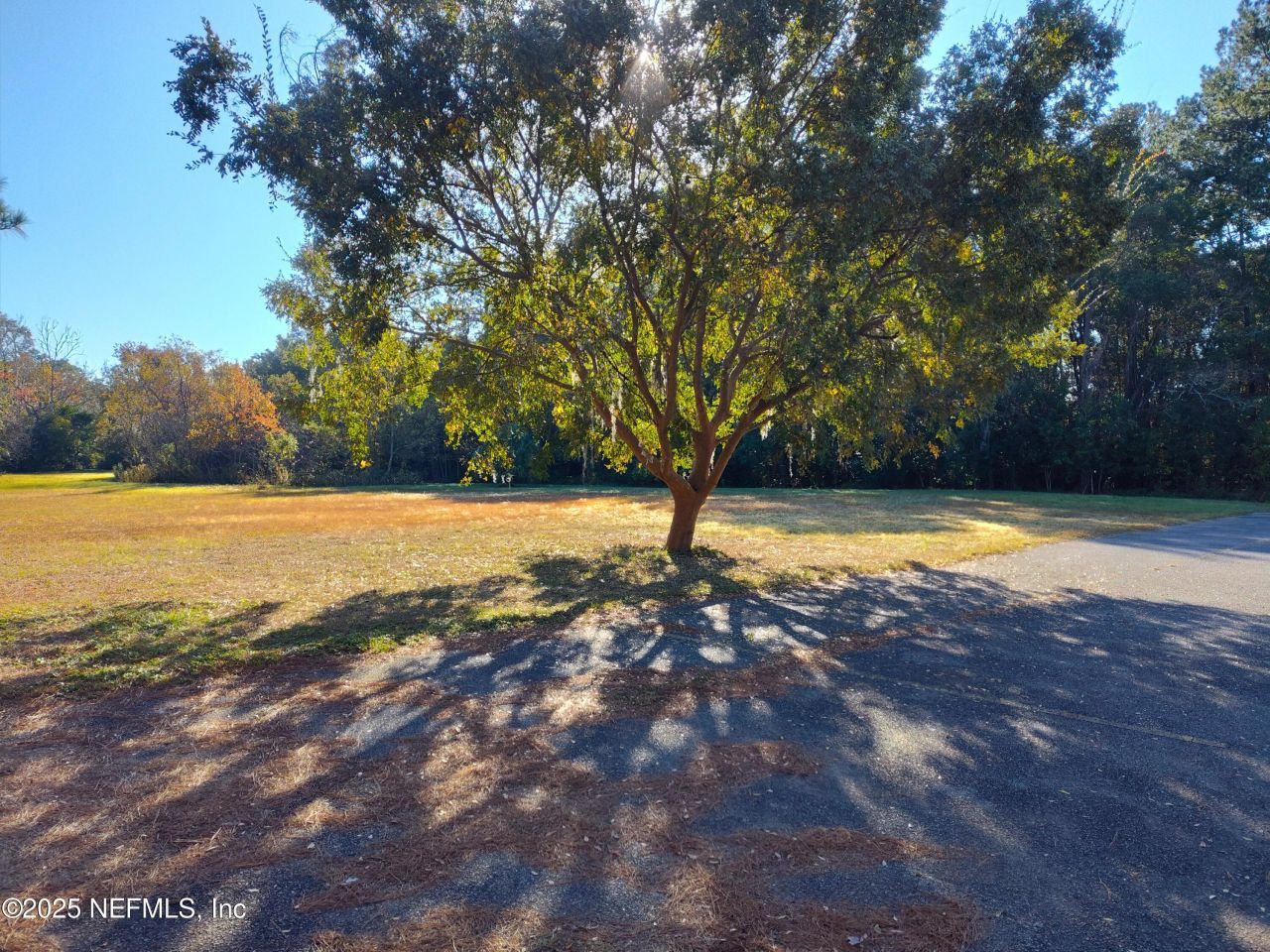 4100 Beverly Avenue, Jacksonville, FL 32208 Photo