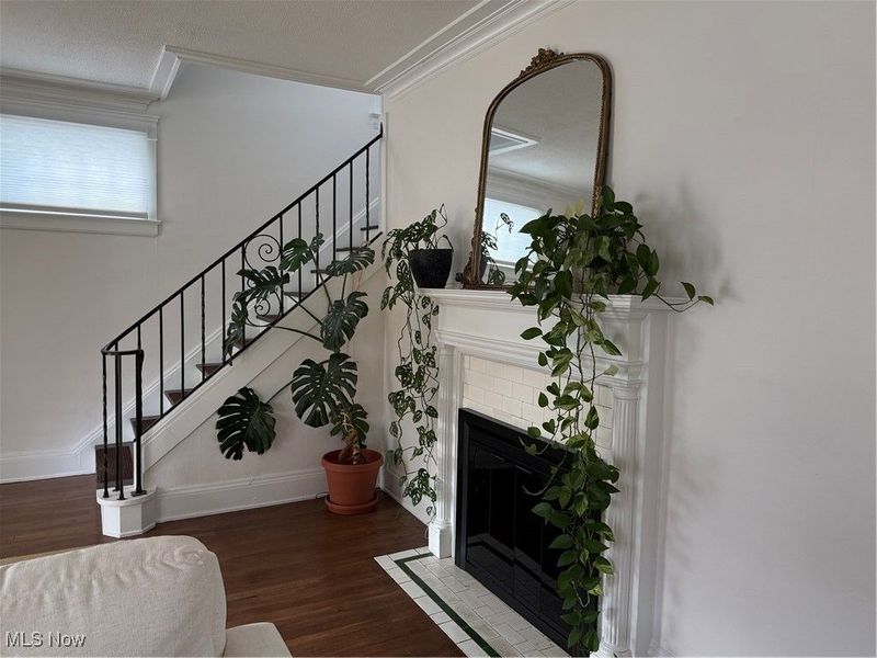 1320 W 108th Street, Cleveland, OH 44102 Photo 4