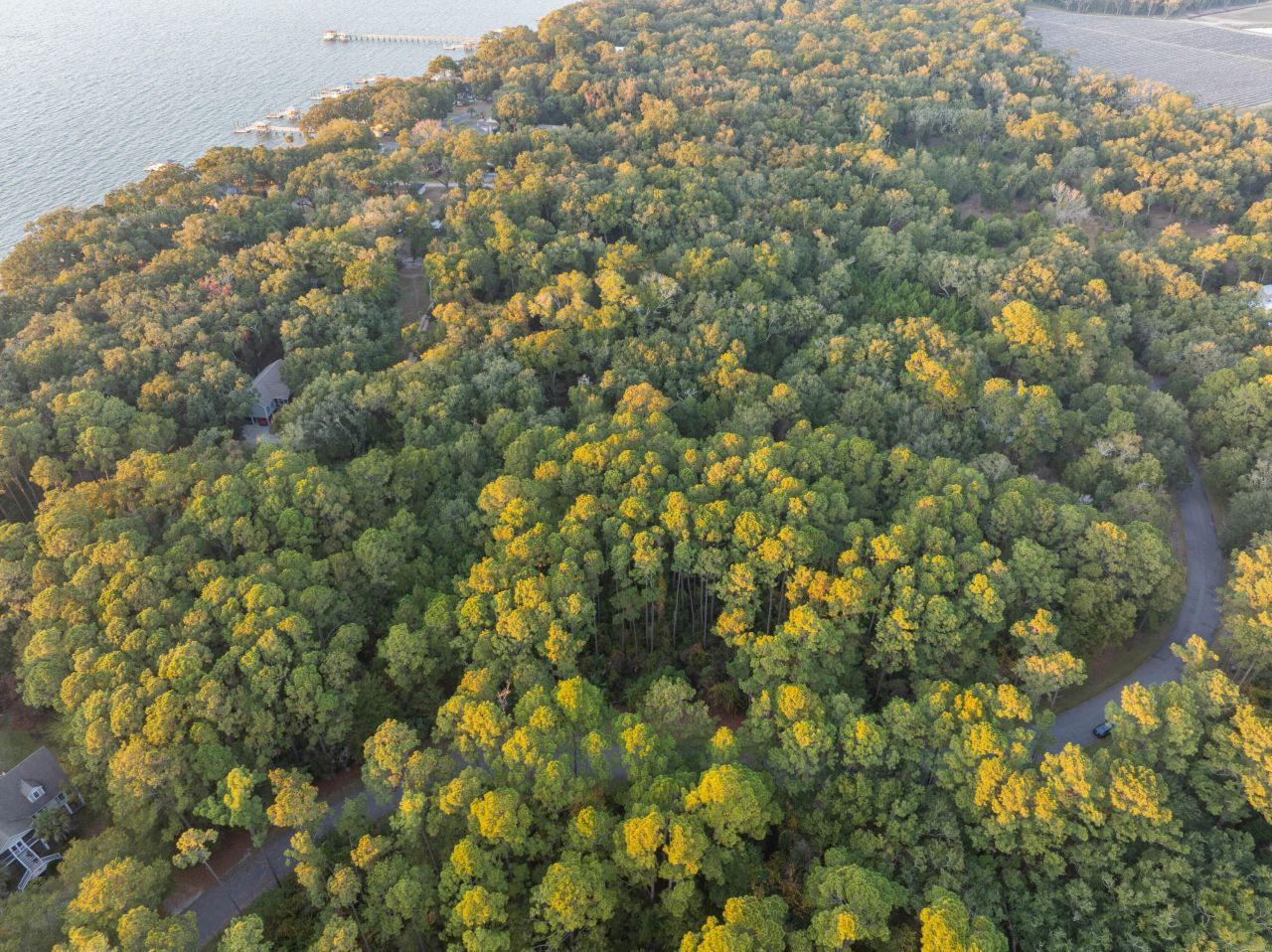 13 W Vista Boulevard Photo 10