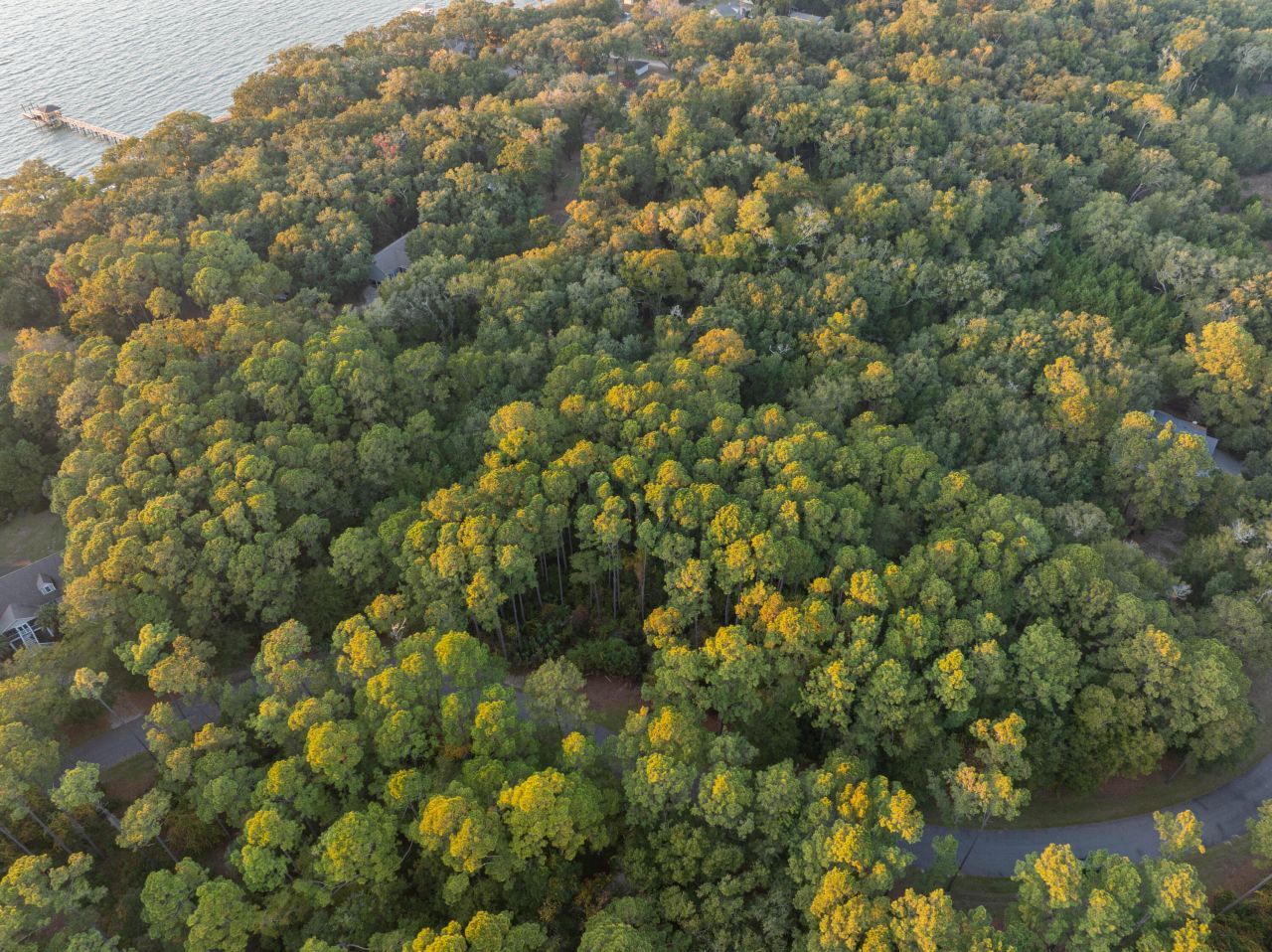 13 W Vista Boulevard Photo 11