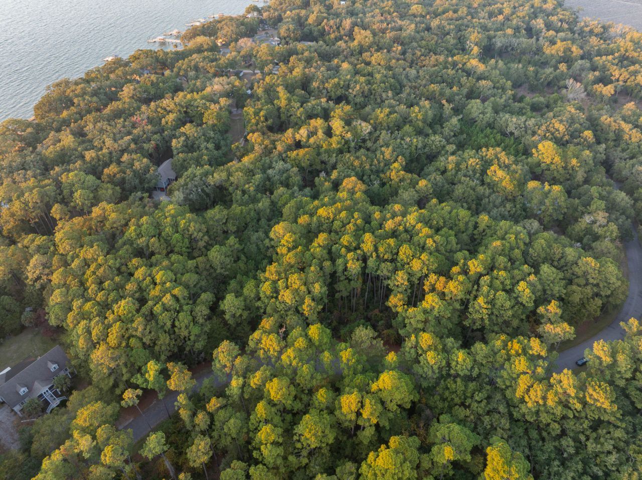 13 W Vista Boulevard Photo 12