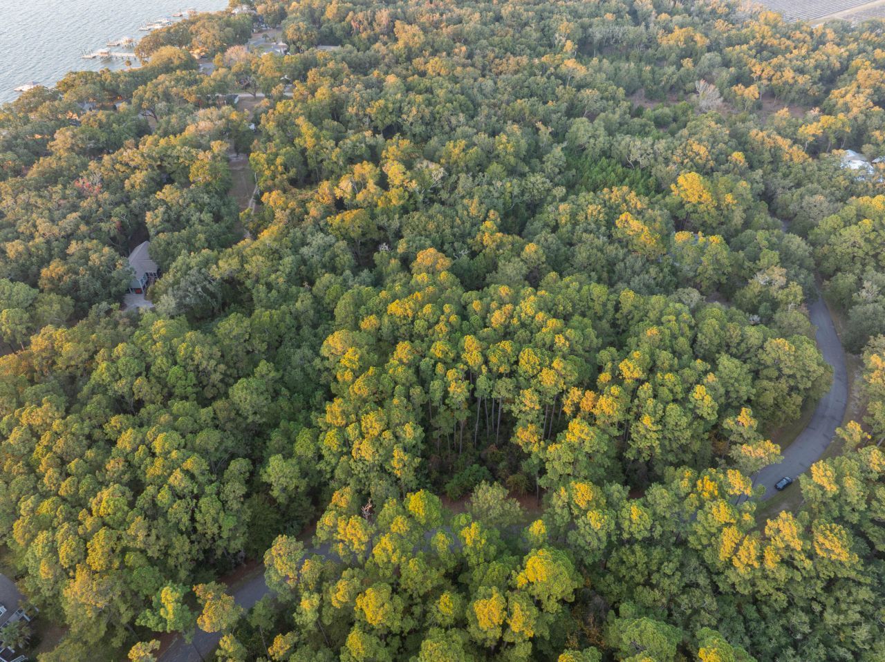 13 W Vista Boulevard Photo 14