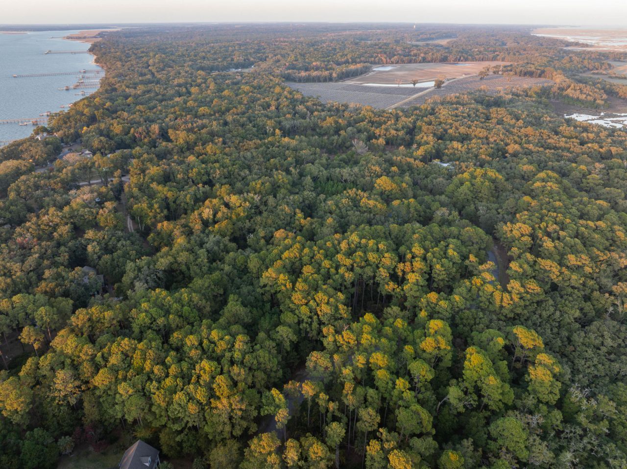 13 W Vista Boulevard Photo 15