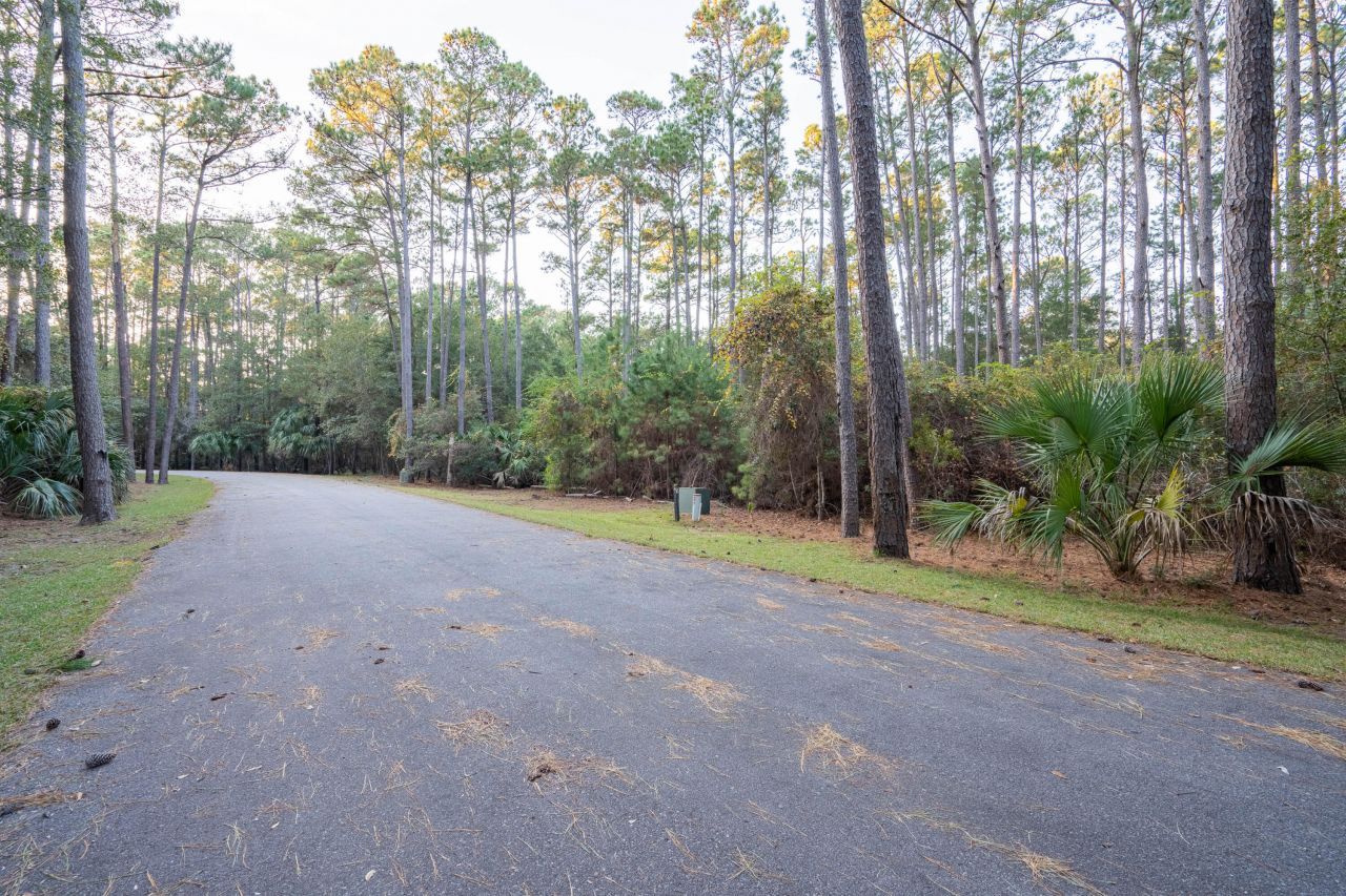 13 W Vista Boulevard Photo 16