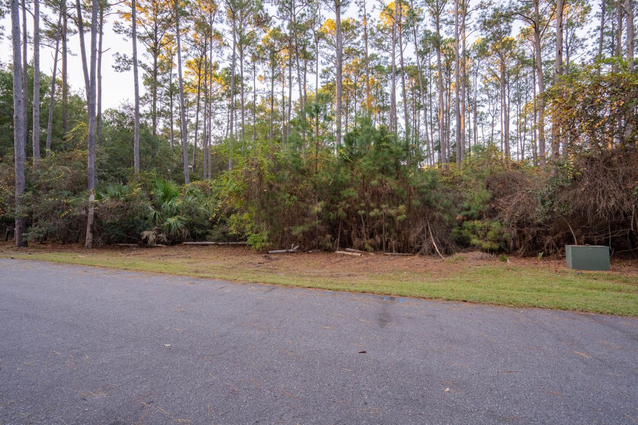 13 W Vista Boulevard Photo 18