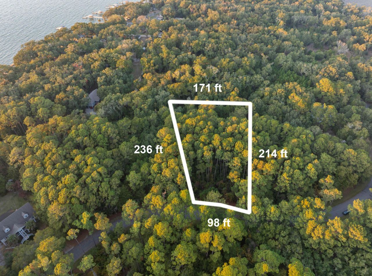 13 W Vista Boulevard Photo 4